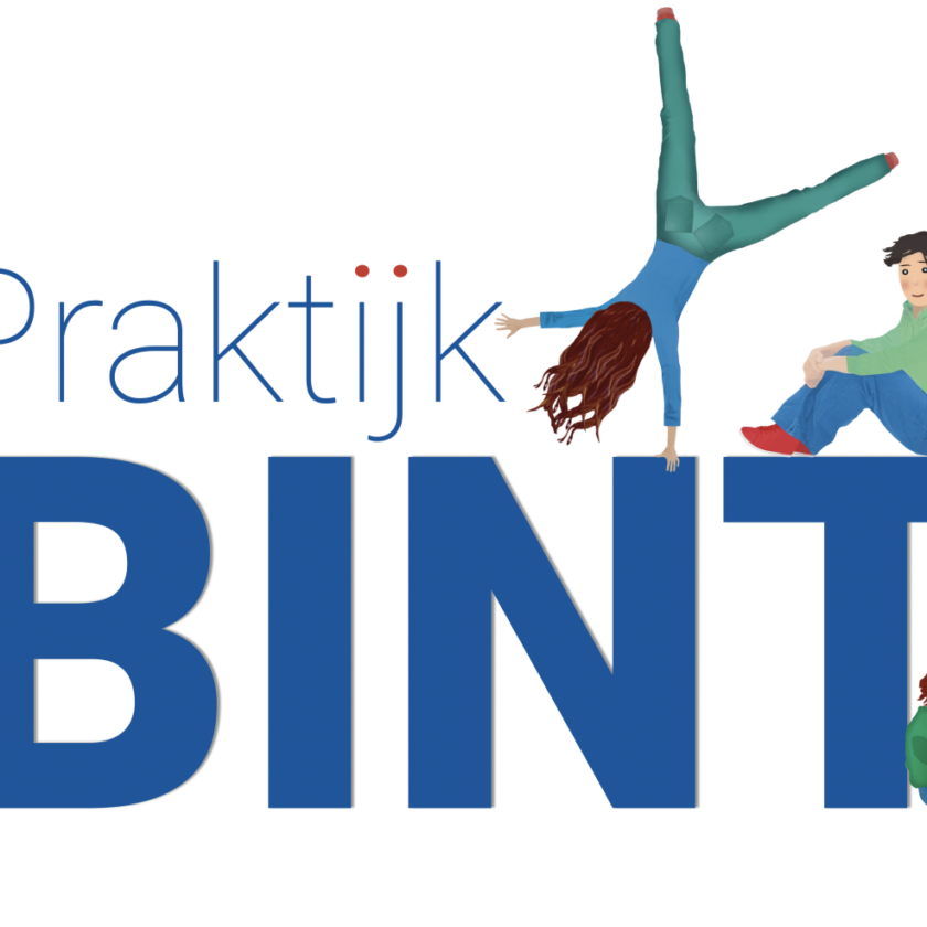 Praktijk BINT
